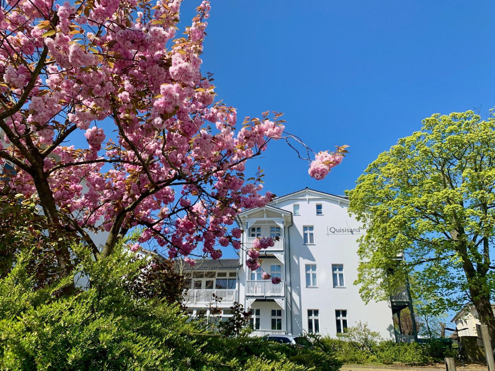 Ferienwohnung Mit Meerblick Und Sauna Goehren  Exterior foto